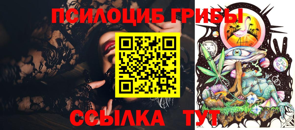 Псилоцибиновые грибы Psilocybe  Вход с VPN  где купить   Галлюциногенные грибы прущие грибы  Удомля 
